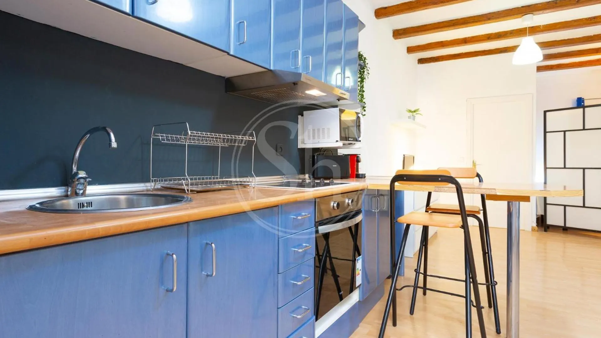 Loft En Gracia Con Terraza Apartment Barcelona Spain